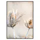 Poster Gallerix Dried Plants No1