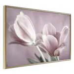 Poster Artgeist Affisch Pink Tulips