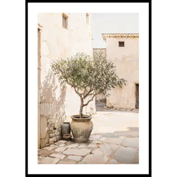 Poster Gallerix Olive Tree Mediterranean Setting No1
