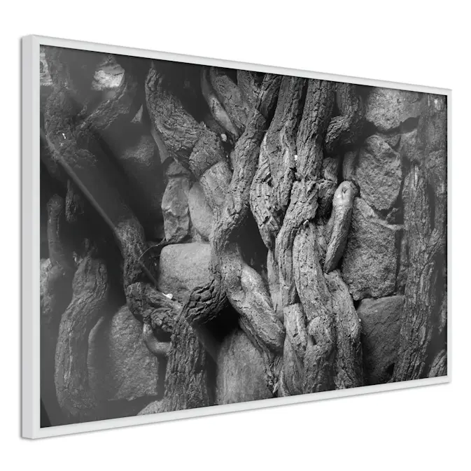 Poster Artgeist Affisch Overgrown Stones