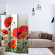 Rumsavdelare Skärmvägg Arkiio Country Poppies 135x172 cm