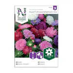 Frö Aster Nelson Garden Dvärg Mix