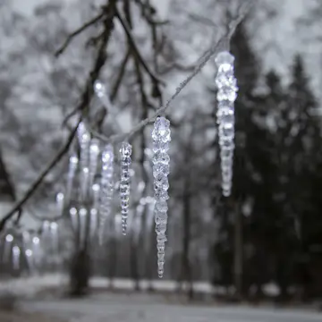 Istappsslinga Star Trading Gelido 50 st