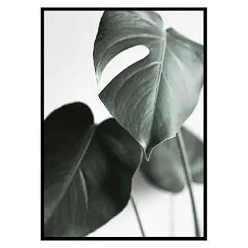 Poster Gallerix Green Leaves No1