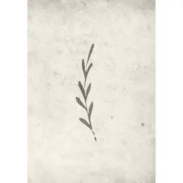 Posters Venture Home Autumn Leaf Beige