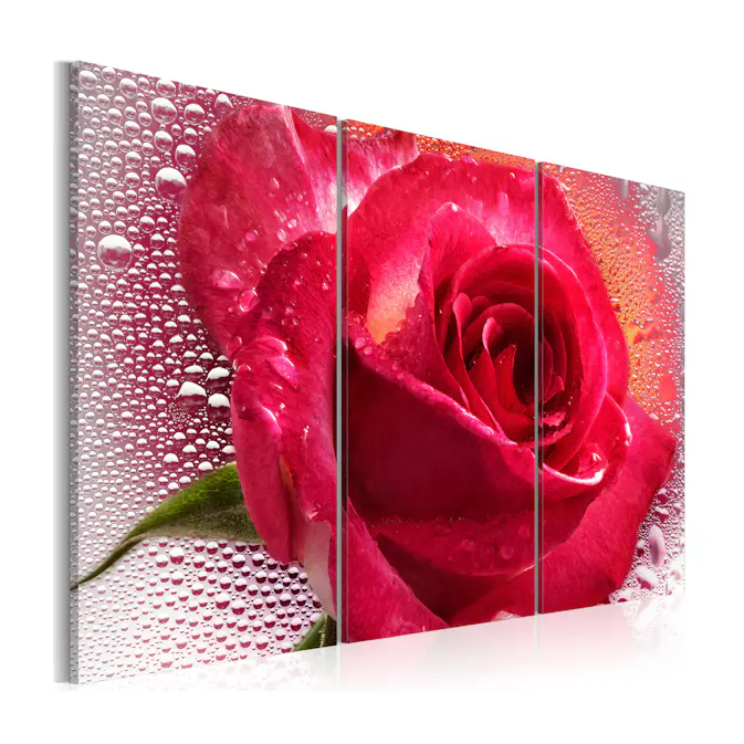 Tavla Arkiio Lady Rose Triptych