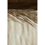 Posters Venture Home Dessert Beige