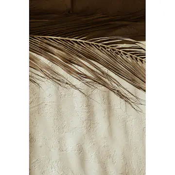 Posters Venture Home Dessert Beige