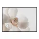 Poster Gallerix Beige Magnolia No1
