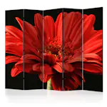 Rumsavdelare Skärmvägg Arkiio Red Gerbera Flower II 225x172 cm
