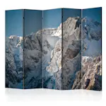 Rumsavdelare Skärmvägg Arkiio Winter In The Alps II 225x172 cm