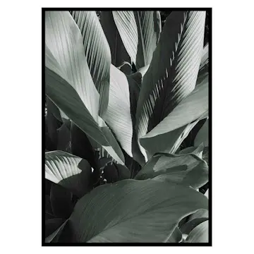 Poster Gallerix Banana Leaves No4