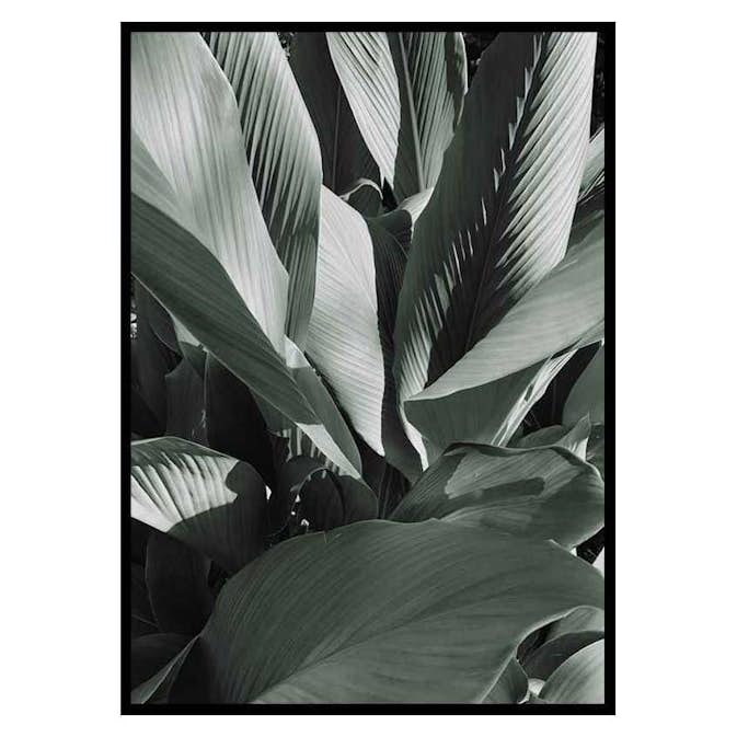 Poster Gallerix Banana Leaves No4
