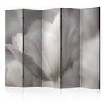 Rumsavdelare Skärmvägg Arkiio Tulip Black And White Photo II 225x172 cm