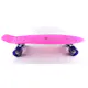 Skateboard Sandbar Cruiser