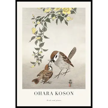Poster Gallerix Birds And Plants No2 By Ohara Koson