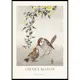 Poster Gallerix Birds And Plants No2 By Ohara Koson