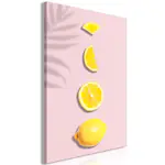 Tavla Arkiio Piece of Exotic