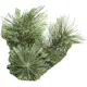 Plastgran Star Trading Cembrini