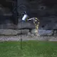 Solcellsdekoration Star Trading Dew Drop Water can