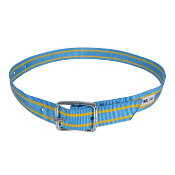 Transponderhalsrem Willab med Livremsspänne