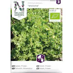 Frö Nelson Garden Sallat Frisée Wallone Organic