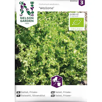 Frö Nelson Garden Sallat Frisée Wallone Organic