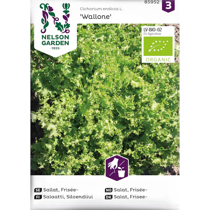 Frö Nelson Garden Sallat Frisée Wallone Organic