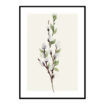 Poster Gallerix Willow Branches