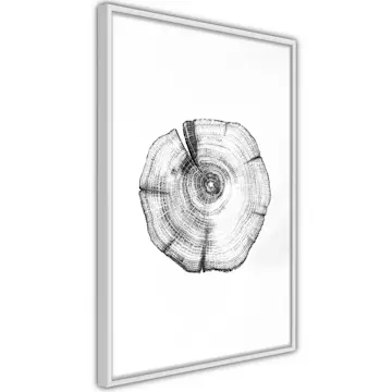 Poster Artgeist Affisch Wood Slice