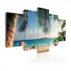 Tavla Arkiio Under Palm Trees