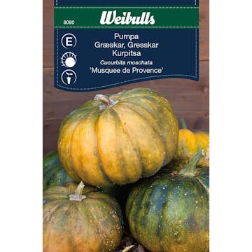 Frö Pumpa Weibulls Musquee deProvence