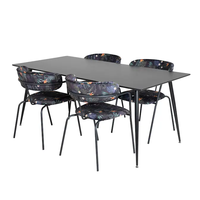 Matgrupp Venture Home Silvia med 4 Aris Stolar