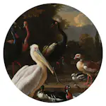 Wallcirkel Art for the Home Rijksmuseum Birds ø70