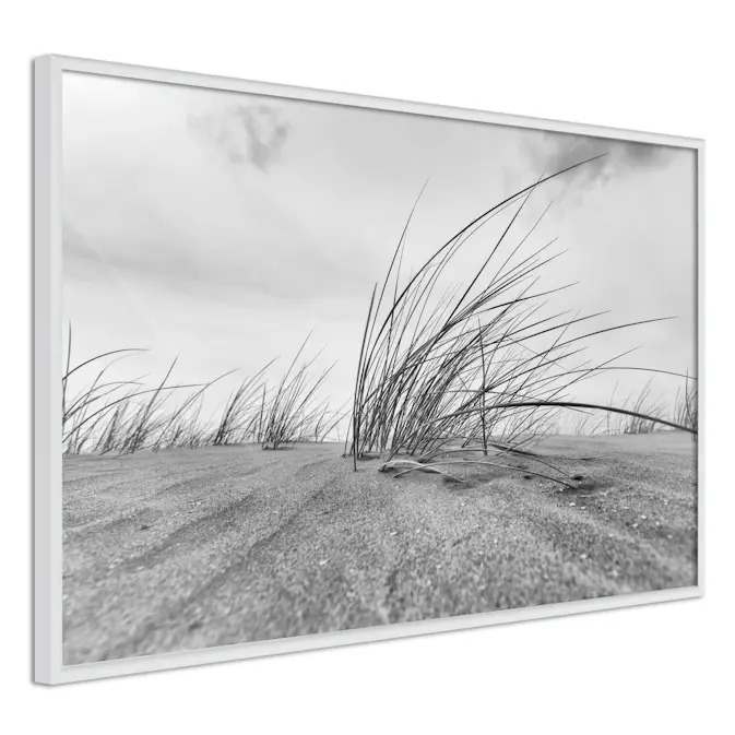 Poster Artgeist Affisch Seaside Reed