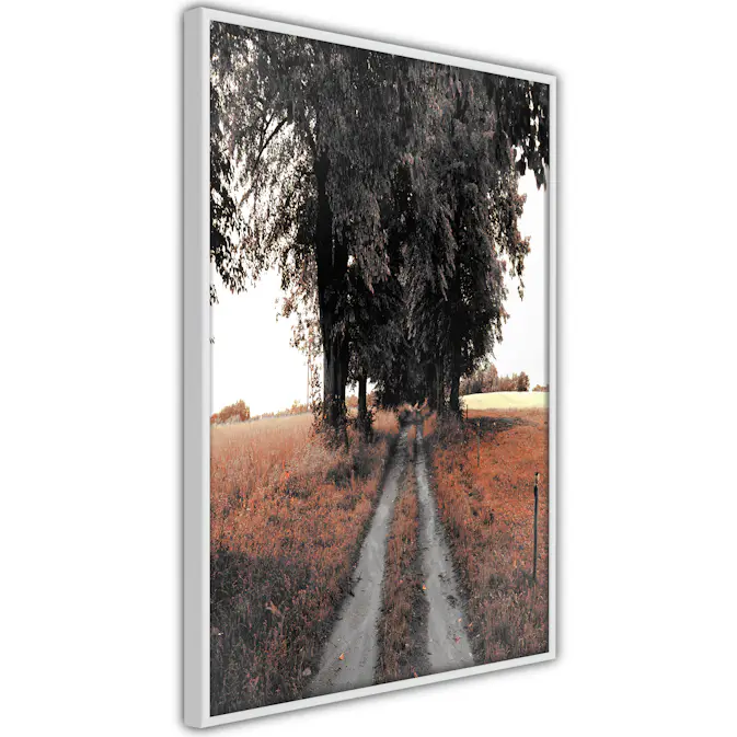 Poster Artgeist Affisch Road to the Forest