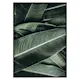 Poster Gallerix Banana Leaves No2