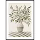 Poster Gallerix Olives In Vase