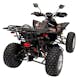 ATV GreatWhite 250EFI EURO5