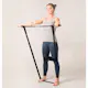Mini Gym Swedish Posture