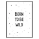 Poster Gallerix Born To Be Wild