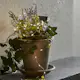 Solcells-ljusslinga Star Trading Dew Drop