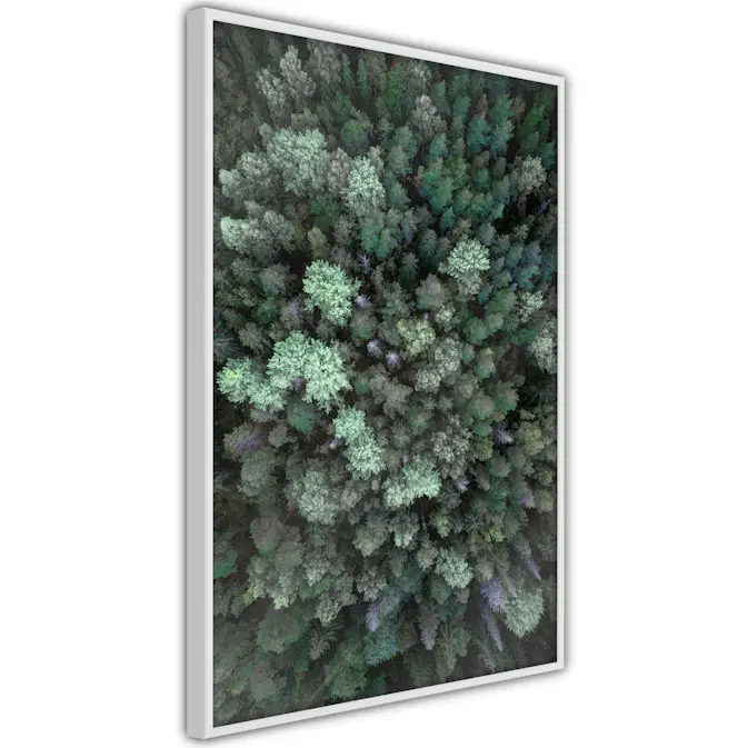 Poster Artgeist Affisch Flying Over Forest