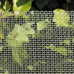 Nät Hortus Maska 600 mm