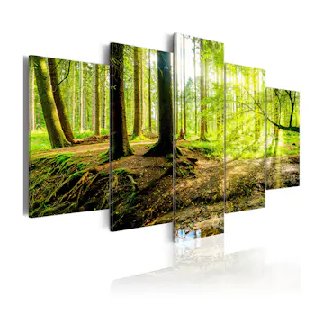 Tavla Arkiio Poetry Of A Forest