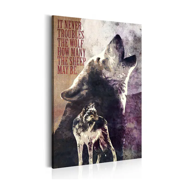 Tavla Arkiio Law Of Nature