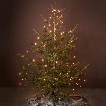 Ljusslinga Markslöjd Choice 160L