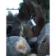 Solcellsdekoration Star Trading Dew Drop Water can