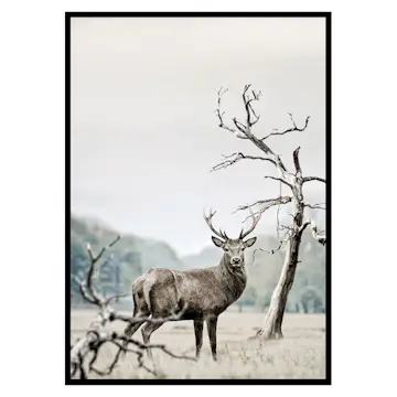 Poster Gallerix Winter Deer