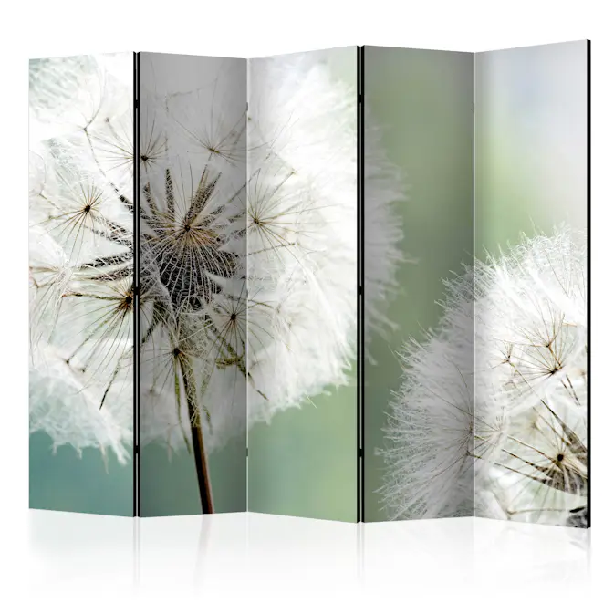 Rumsavdelare Skärmvägg Arkiio Two Dandelions II 225x172 cm